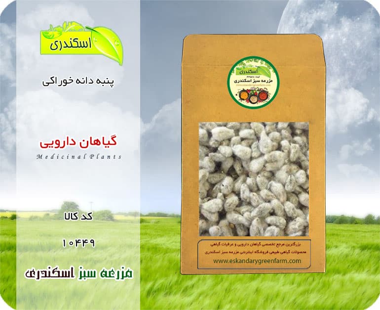 پنبه دانه خوراکی هندی
