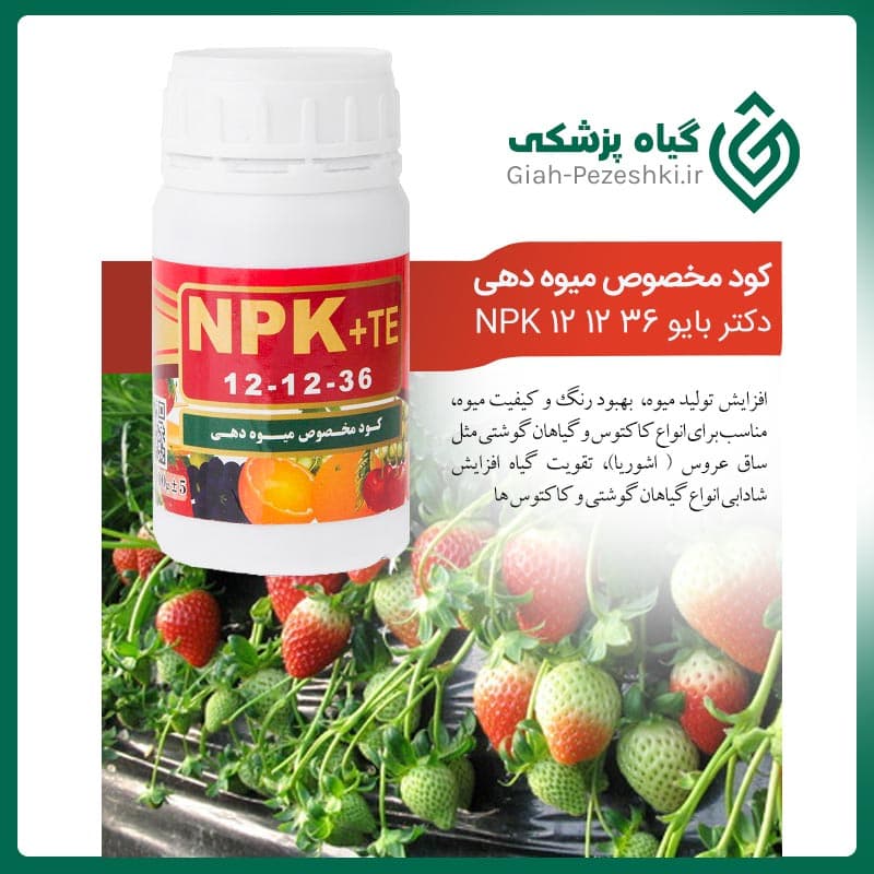 کود مخصوص میوه دهی دکتر بایو NPK 12 12 36 — تصویر ۳