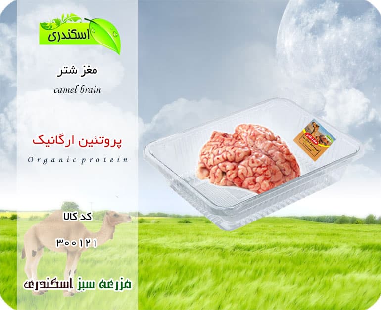 مغز شتر ارگانیک — تصویر ۳