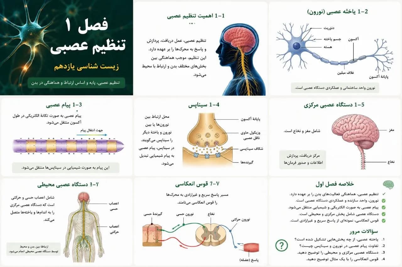 پاورپوینت فصل اول زیست یازدهم — تصویر ۴