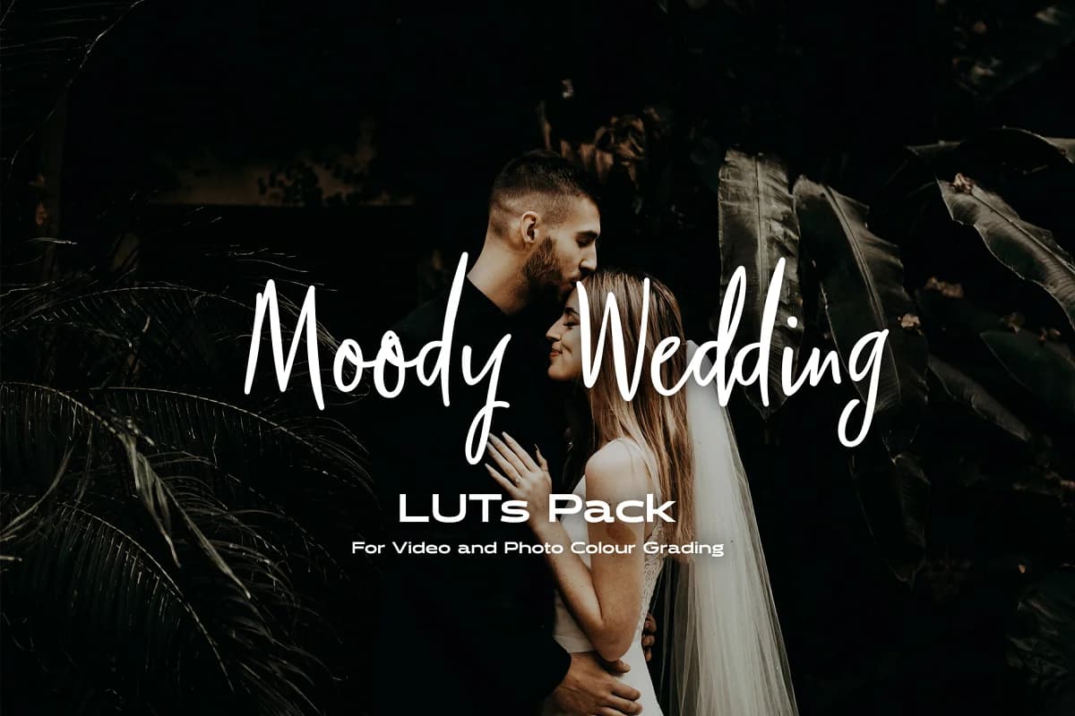 دانلود پریست رنگ عروسی Moody Wedding LUTs pack برای انواع نرم افزار ها