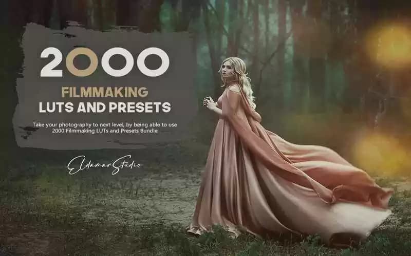 دانلود باندل پریست 2000 Filmmaking Presets and LUTs Bundle