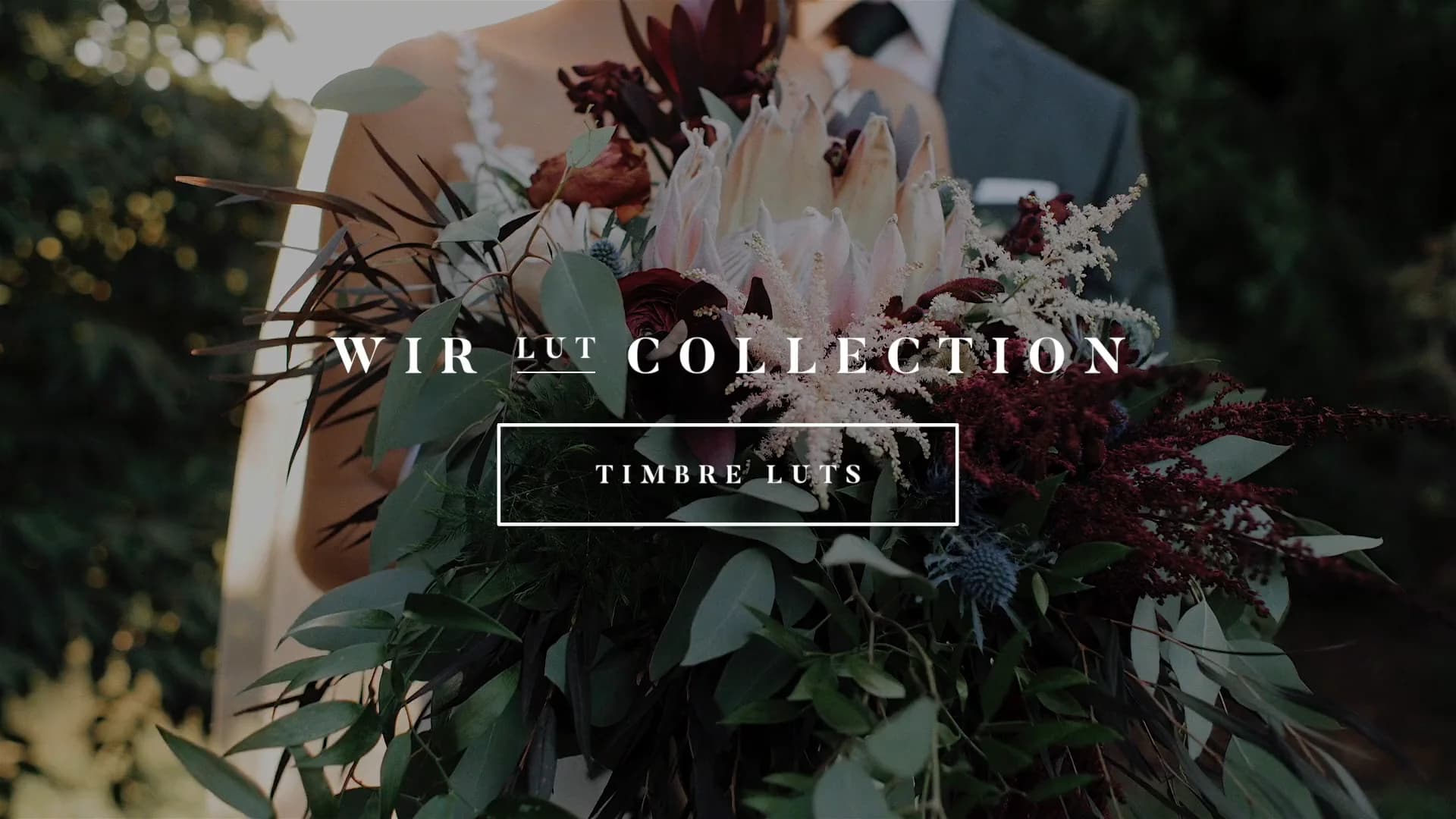 دانلود پریست Timbre LUTs Collection ویژه تصاویر عروسی