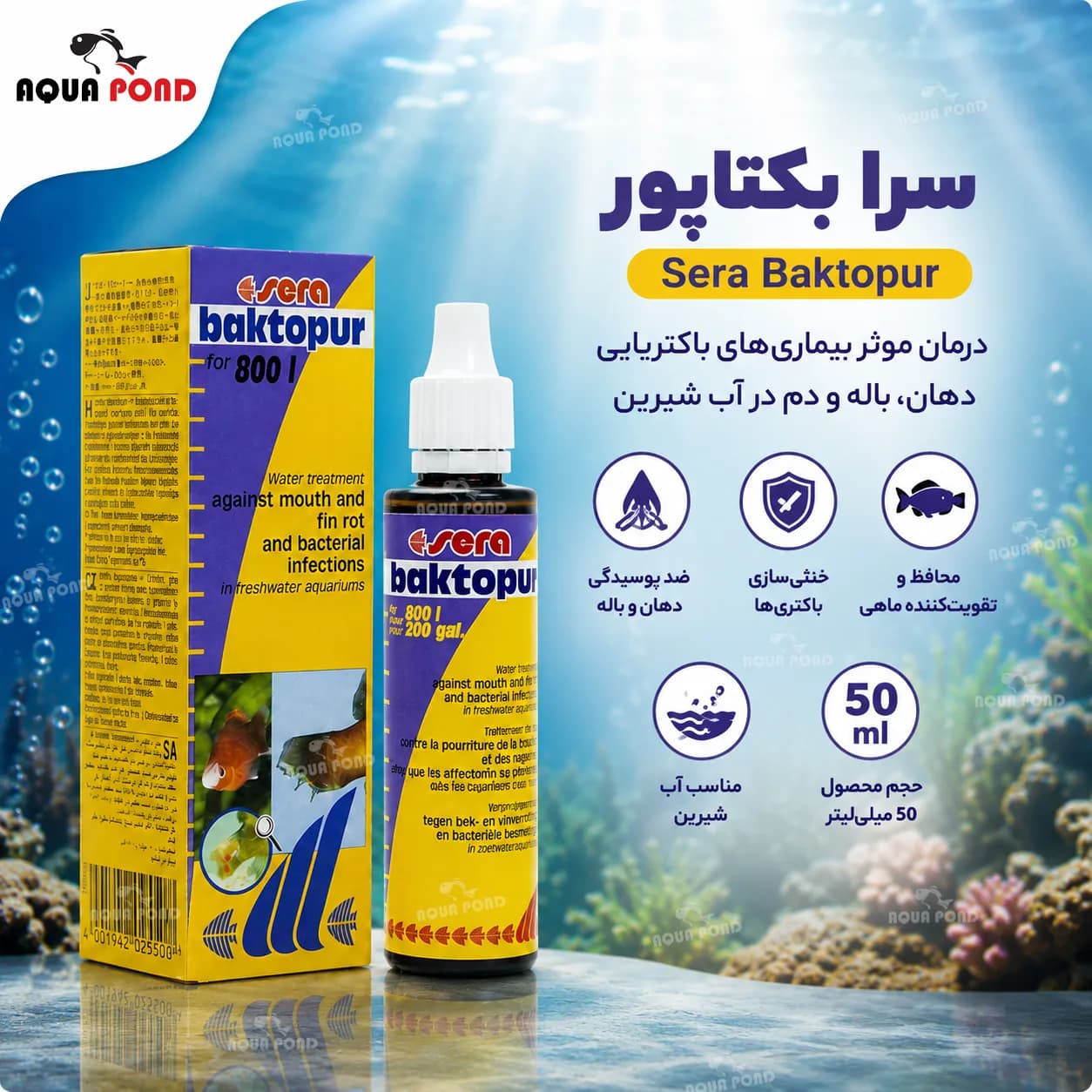 بکتاپور سرا داروی بیماری های باکتریایی 50 میلی لیتر — تصویر ۶