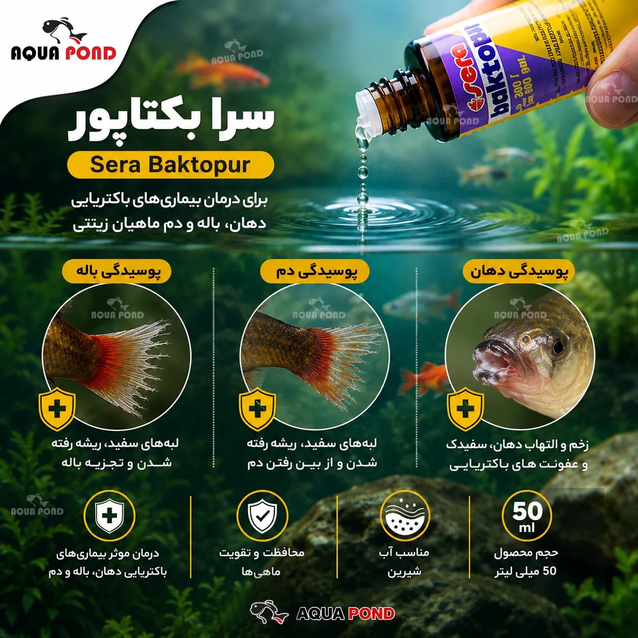 بکتاپور سرا داروی بیماری های باکتریایی 50 میلی لیتر — تصویر ۲