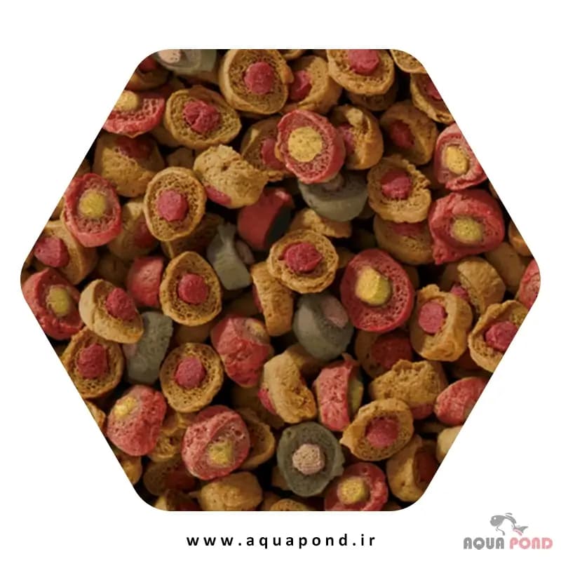 کوی پروفشنال پروبیوتیک سرا غذای حرفه ای ماهی کوی — تصویر ۴