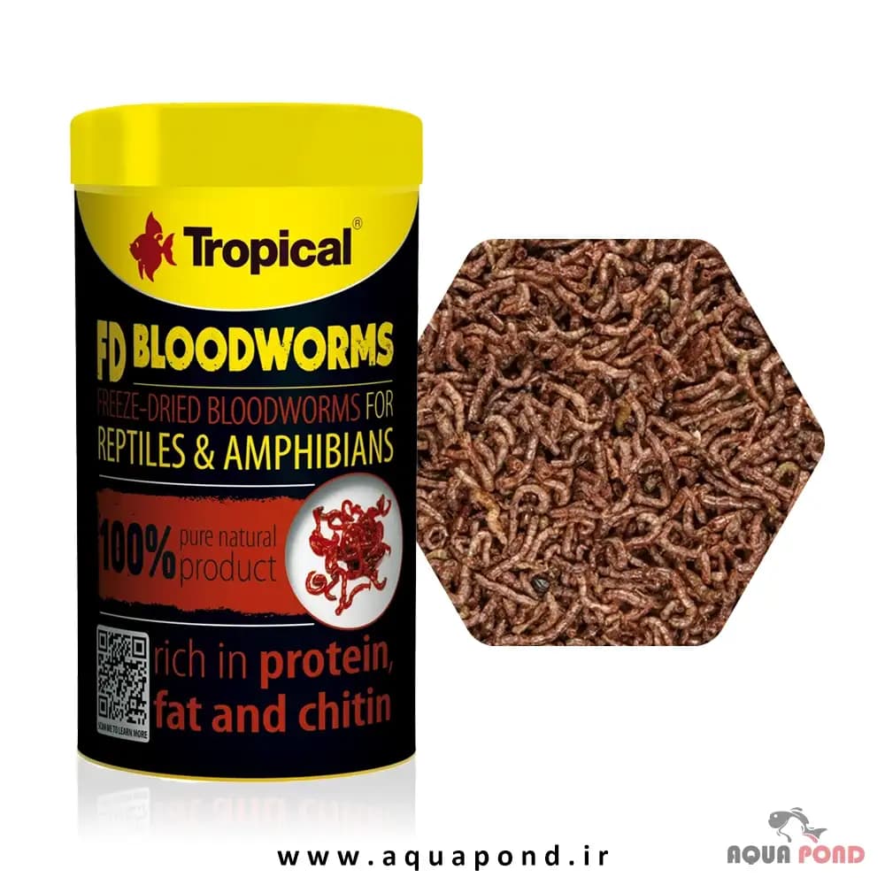 FD blood worms تروپیکال کرم خونی خشک شده غذای ماهی و خزندگان — تصویر ۴