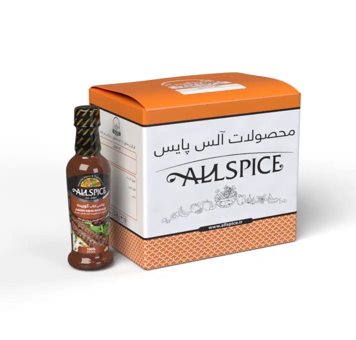 چاشنی کباب کوبیده 50 گرم کارتن مستر 144 عددی