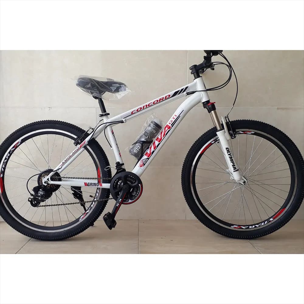 دوچرخه چیاوا مدل آکو ۲۱ دنده سایز ۲۶ اینچ ترمزبندی ویبرک — تصویر ۵