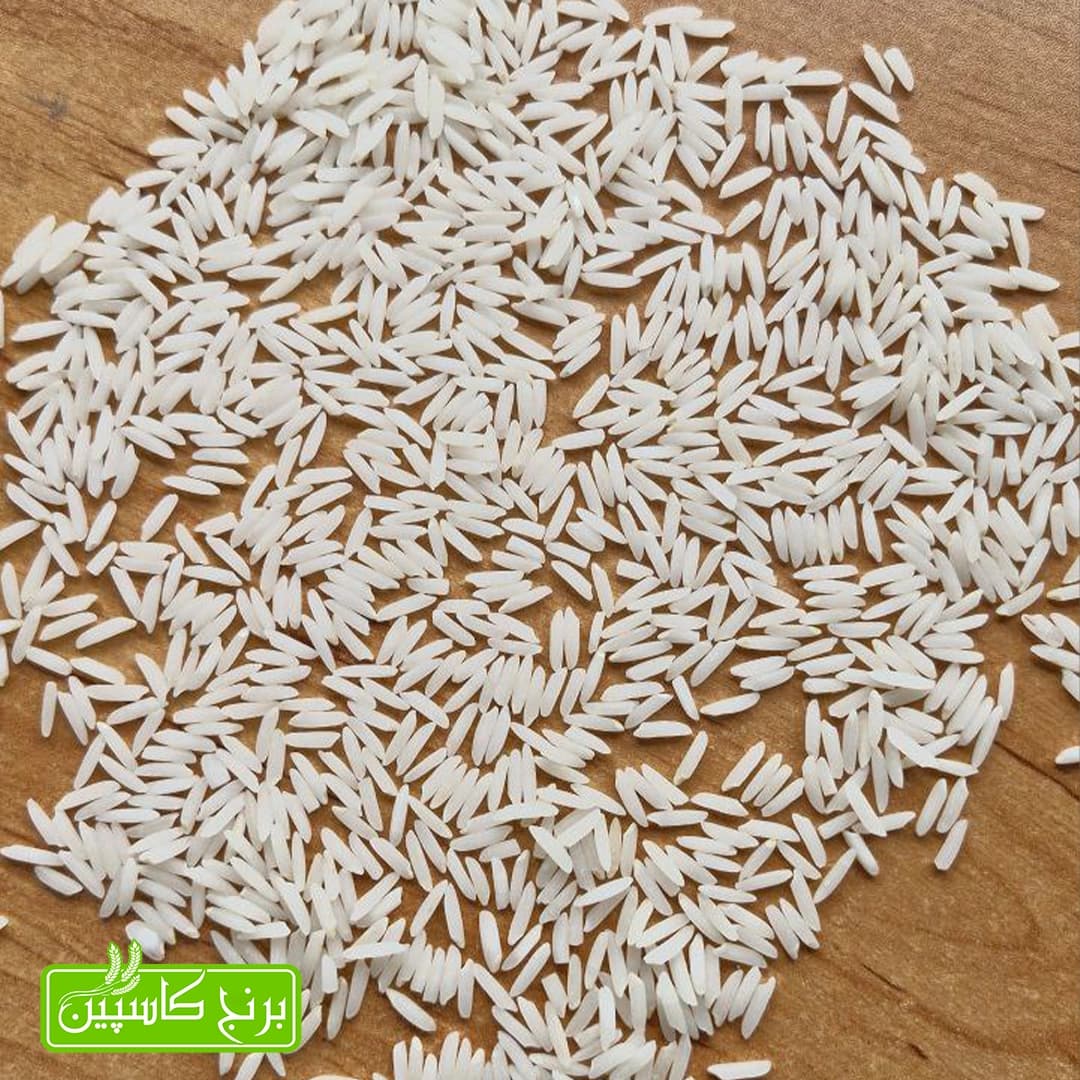 صدری دمسیاه فوق ممتاز (5کیلویی) — تصویر ۲