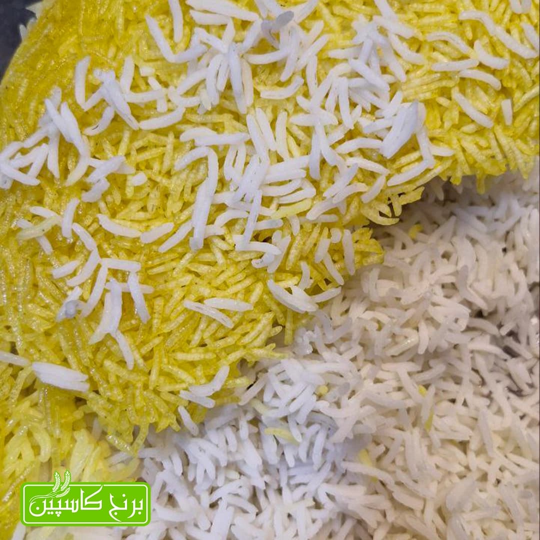 صدری دمسیاه فوق ممتاز (10کیلویی) — تصویر ۶