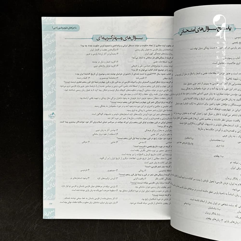 ماجرای بیست علوم و فنون ادبی دهم | خیلی سبز | خرید — تصویر ۴