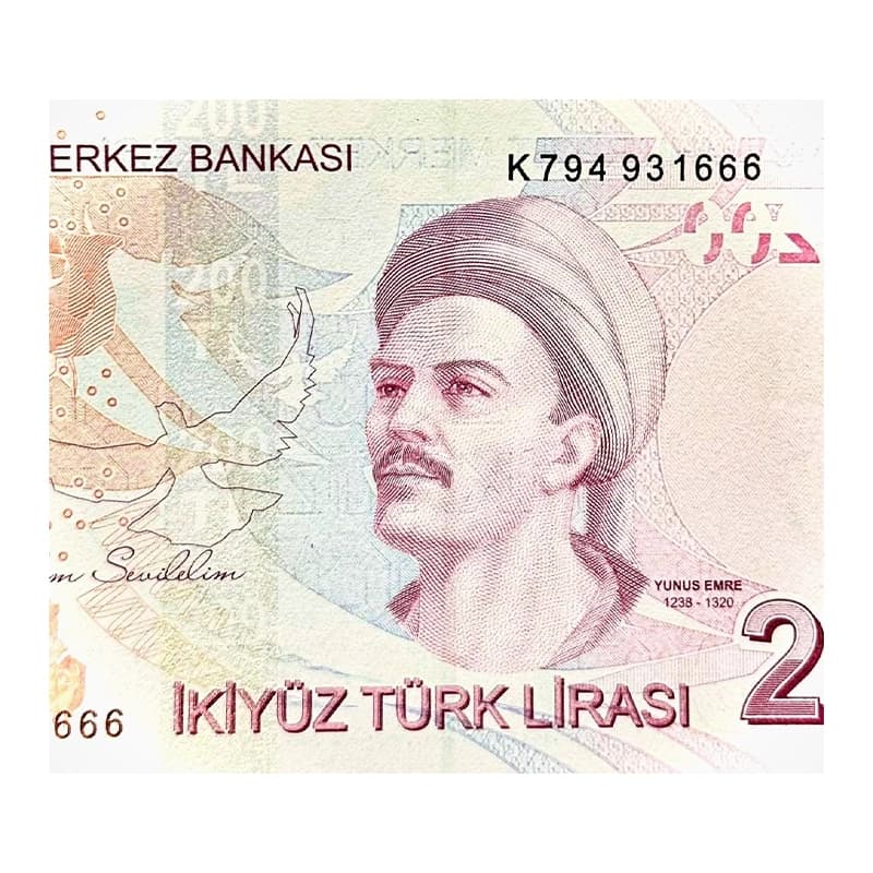 اسکناس 200 لیره ترکیه 2024 — تصویر ۱۰