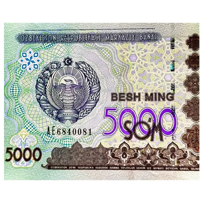 اسکناس 5000 سوم ازبکستان 2013 — تصویر ۸