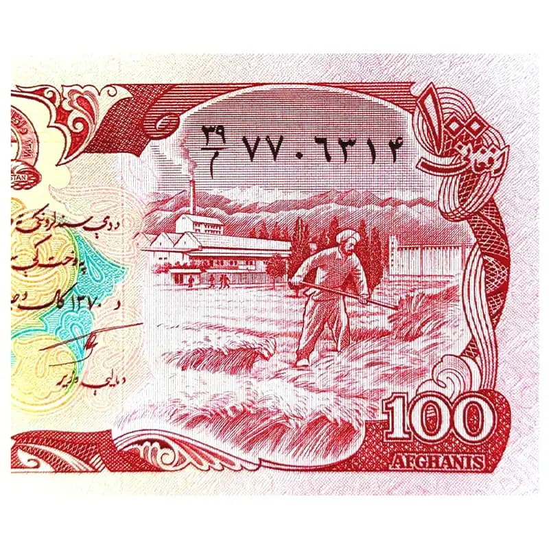 اسکناس 100 افغانی افغانستان 1370 — تصویر ۸