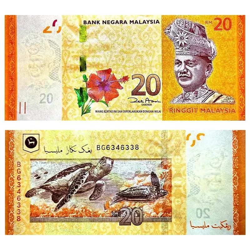 اسکناس 20 رینگیت مالزی 2009 — تصویر ۳