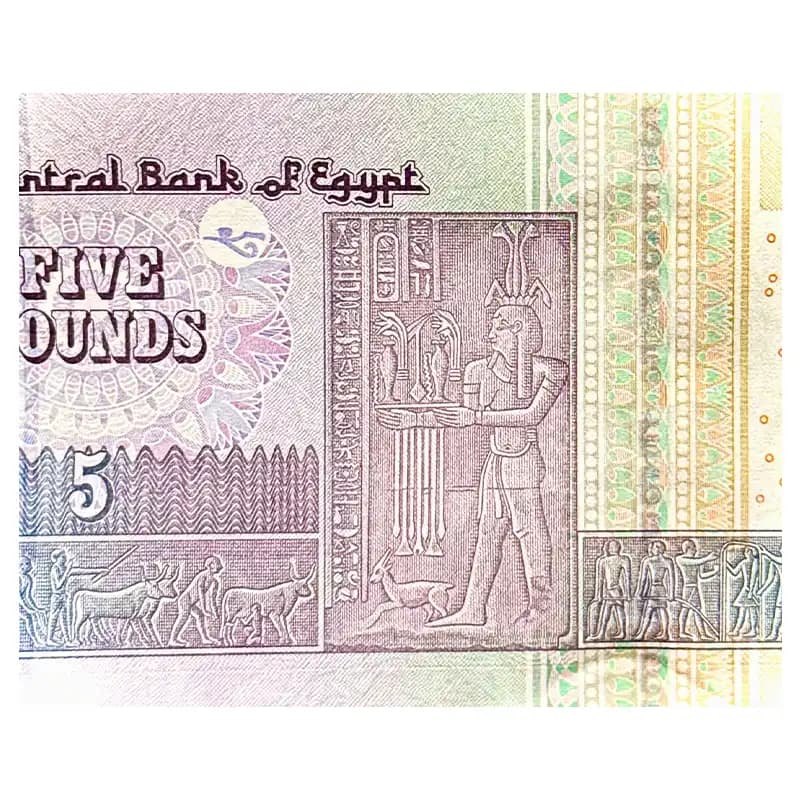 اسکناس 5 پوند مصر 2025 — تصویر ۱۰