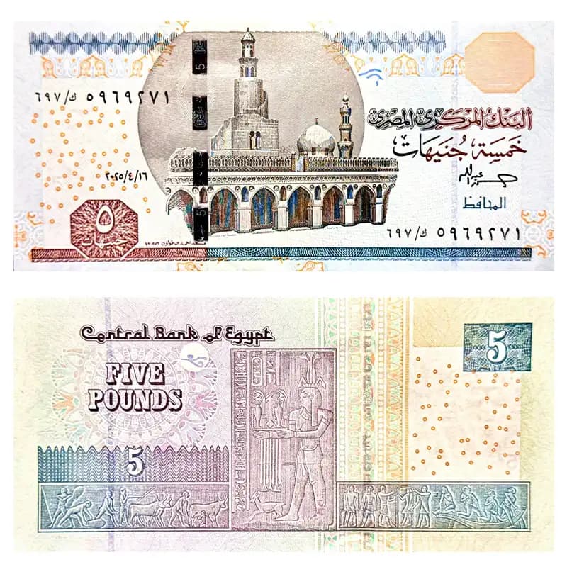 اسکناس 5 پوند مصر 2025 — تصویر ۸