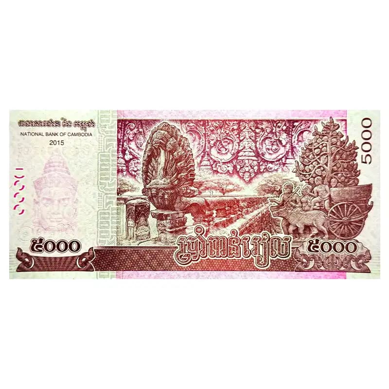 اسکناس 5000 ریل کامبوج 2015 — تصویر ۷