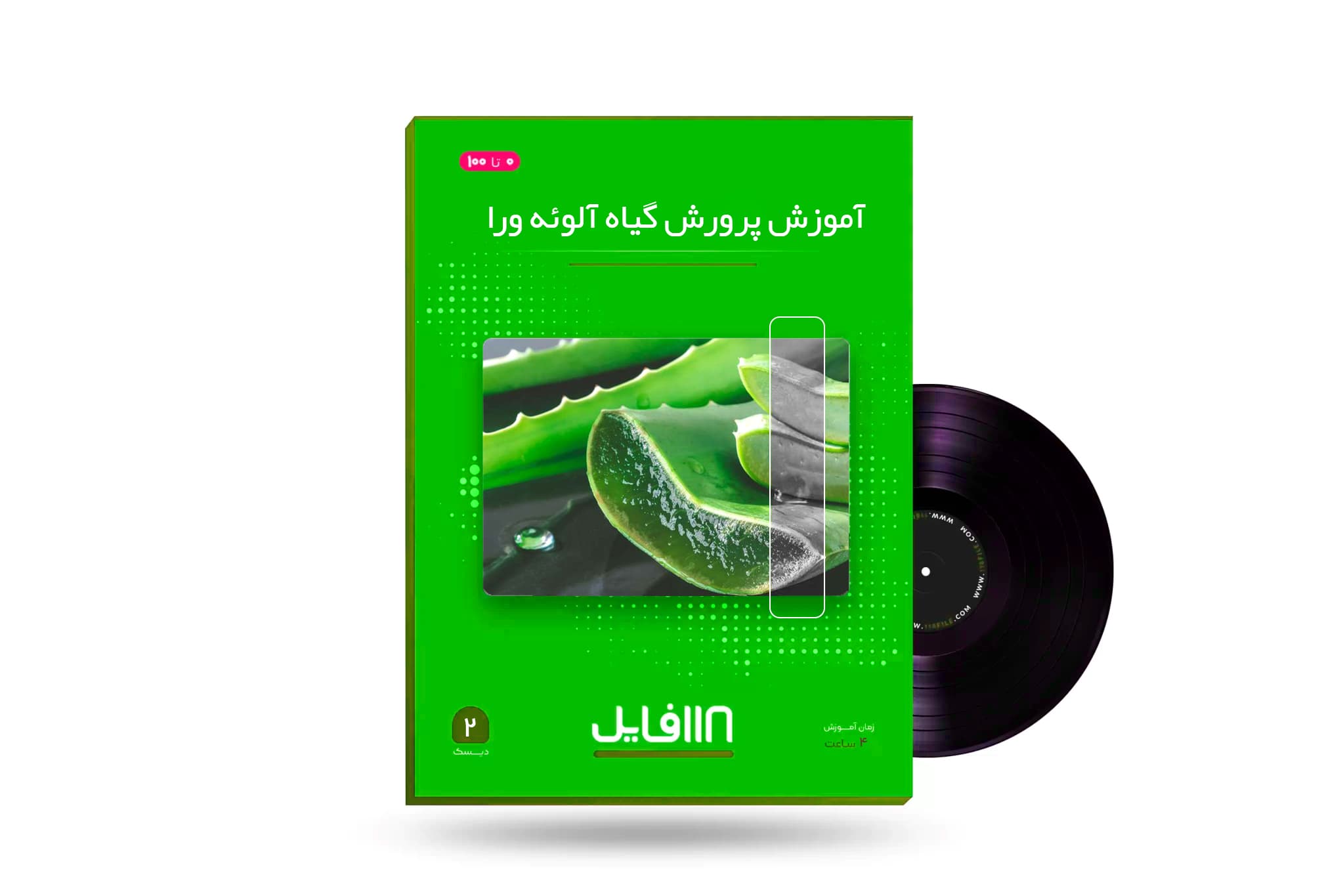 آموزش پرورش گیاه آلوئه‌ ورا