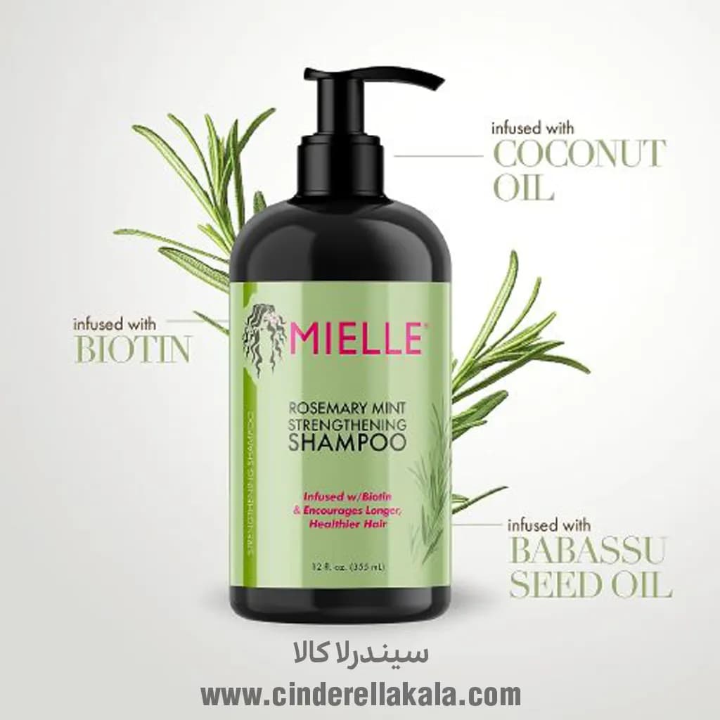 شامپو تقویت کننده رزماری و نعناع میله Mielle آمریکایی — تصویر ۴