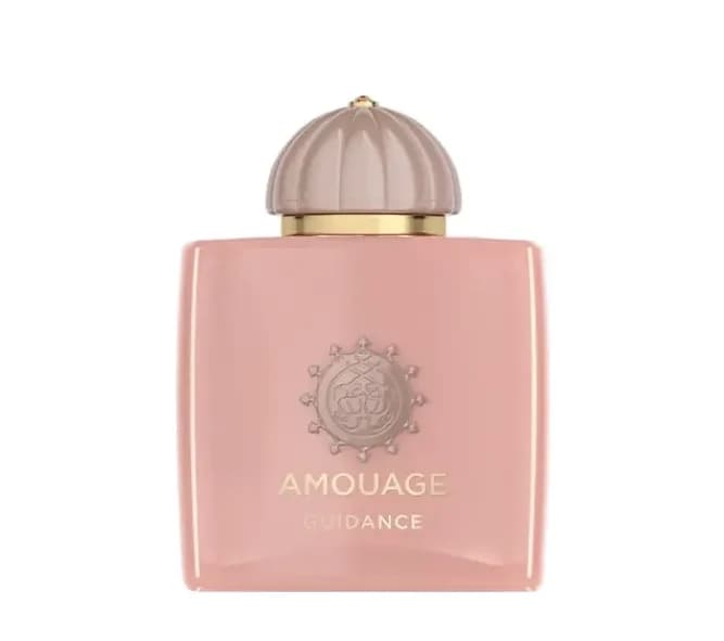 عطر ادکلن آمواج گایدنس برند Rene Touch — تصویر ۲