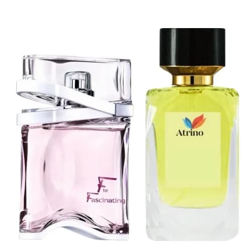 عطر ادکلن سالواتوره فراگامو اف فور فسینیتینگ نایت برند Rene Touch