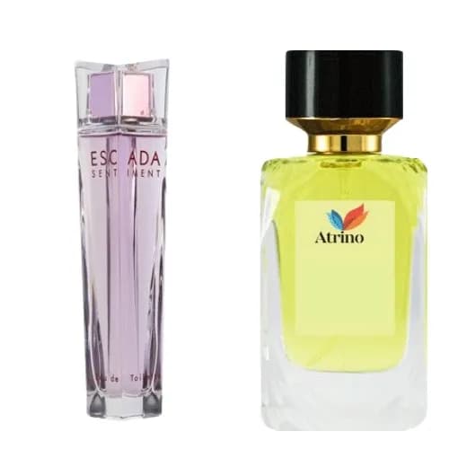 عطر ادکلن سنتیمنت اسکادا برند Rene Touch — تصویر ۲
