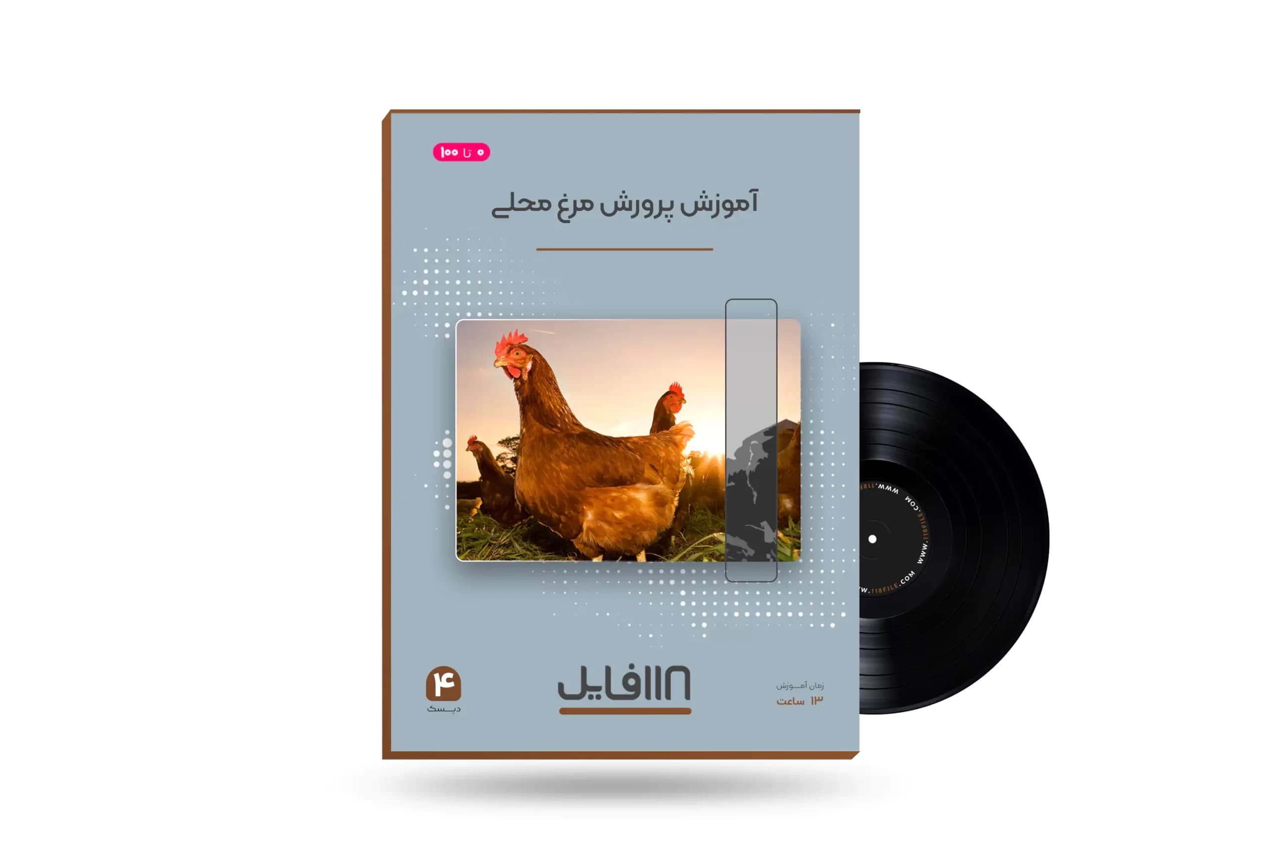آموزش پرورش مرغ محلی