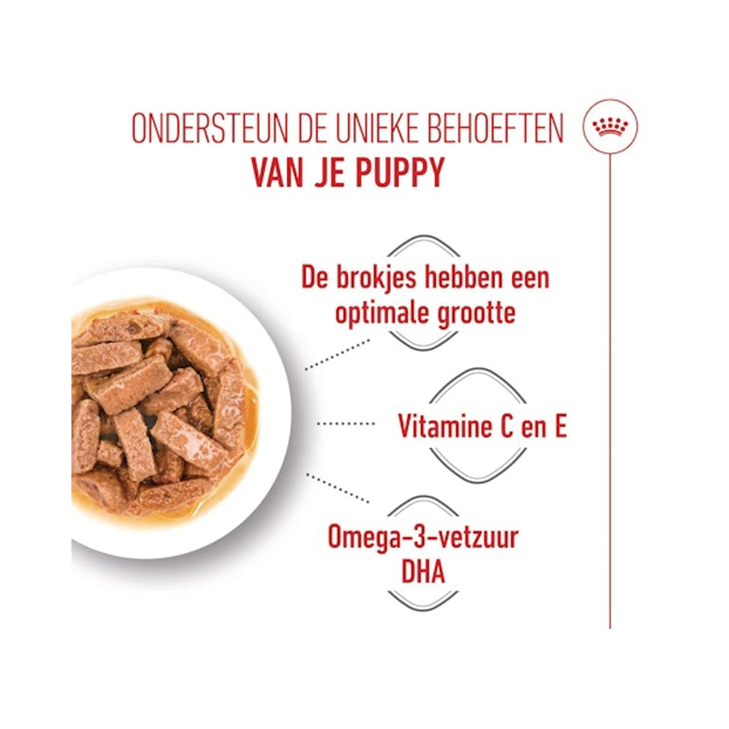 پک پوچ توله سگ مکسی پاپی رویال کنین Maxi Puppy بسته 12 عددی — تصویر ۱۱