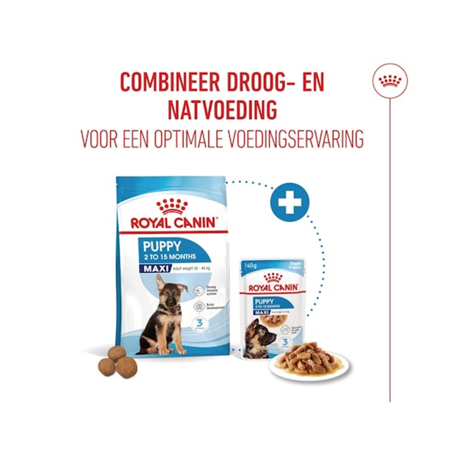 پک پوچ توله سگ مکسی پاپی رویال کنین Maxi Puppy بسته 12 عددی — تصویر ۵