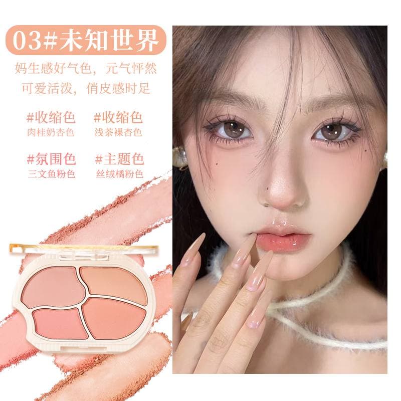 رژگونه پودری چهار رنگ 703 شی شی XIXI — تصویر ۶