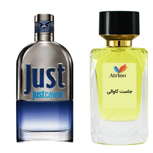 عطر ادکلن روبرتو کاوالی جاست مردانه برند Rene Touch — تصویر ۲