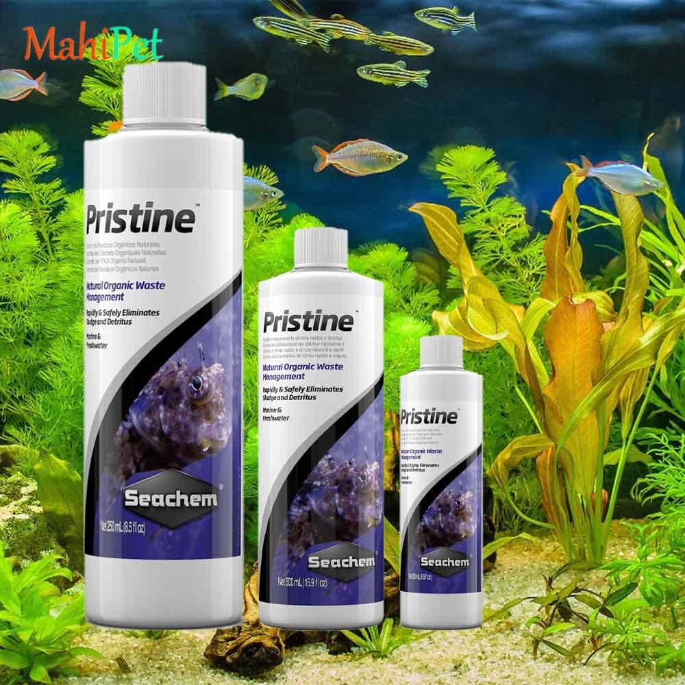 محلول آماده ساز آب آکواریوم سیچم Pristine سایز 100 میلی لیتر — تصویر ۴