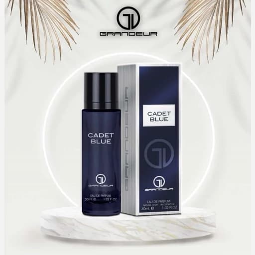 ادکلن 30 میل گرندیور CADET BLUE grandior رایحه بلوچنل مردانه ماندگاری 6 ساعته و پخش بو عالی — تصویر ۵