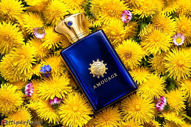 عطر ادکلن آمواج اینترلود مردانه | Amouage Interlude — تصویر ۵