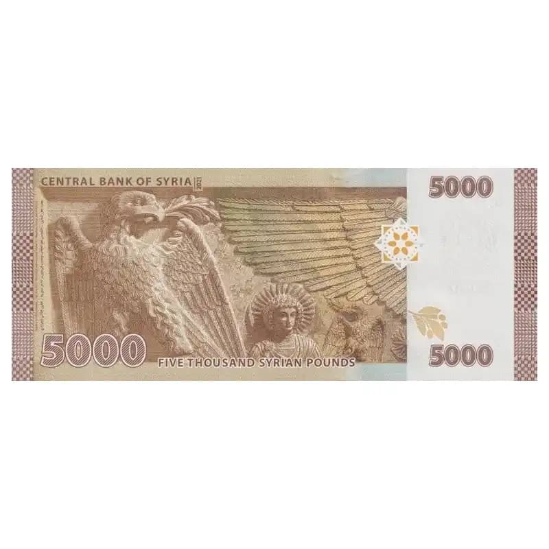 اسکناس 5000 لیره سوریه — تصویر ۷