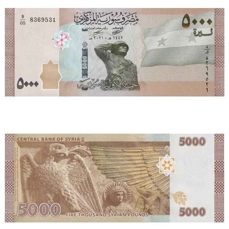 اسکناس 5000 لیره سوریه — تصویر ۵