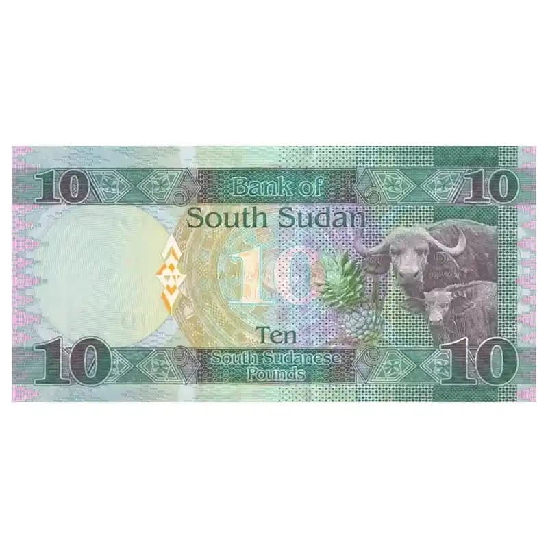اسکناس 10 پوند سودان جنوبی — تصویر ۳