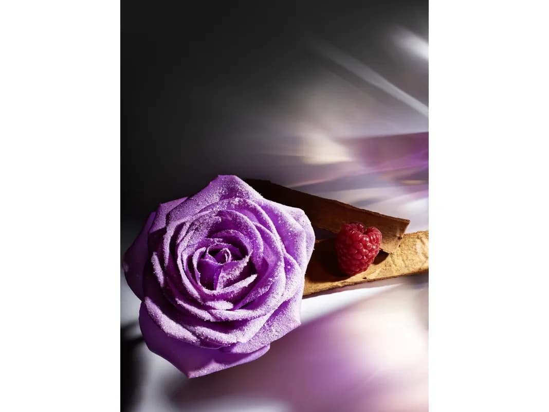 ادوپرفیوم زنانه لانکوم مدل Tresor Midnight Rose حجم 50 میل — تصویر ۴