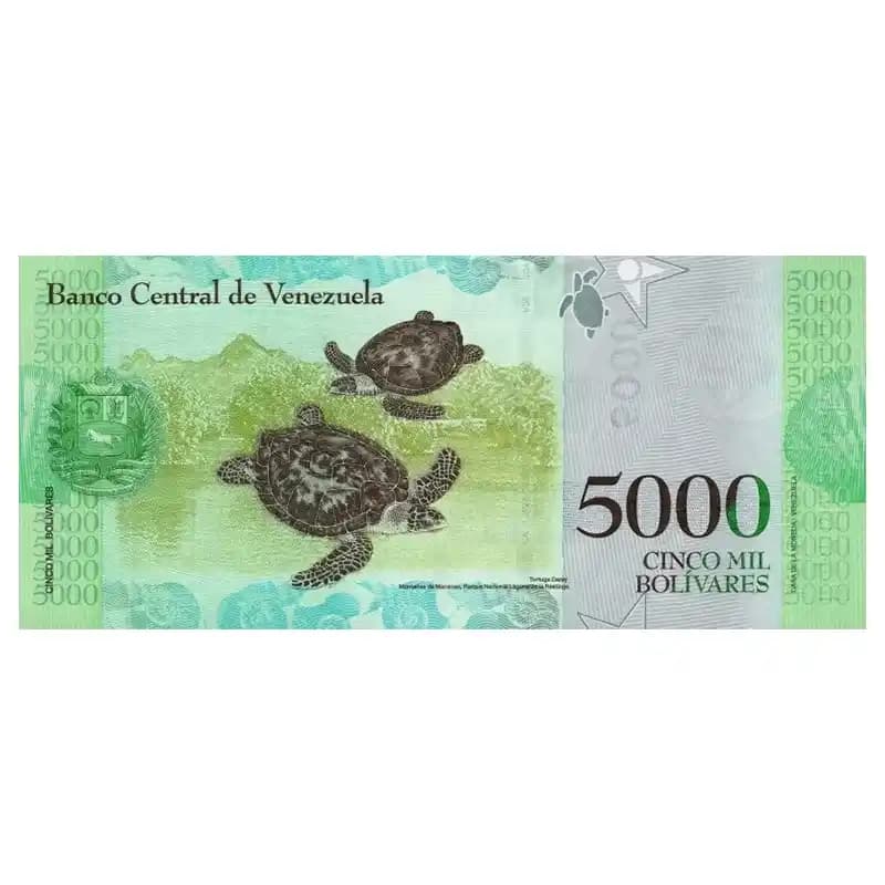 اسکناس 5000 بولیوار ونزوئلا 2017 — تصویر ۲