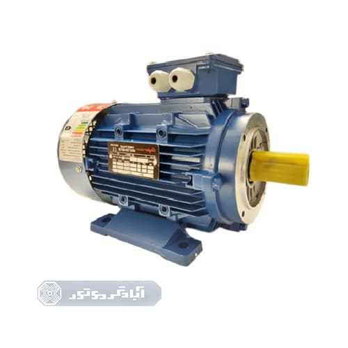الکتروموتور 3 اسب 3000 دور نیم فلنج – Cooper — تصویر ۳