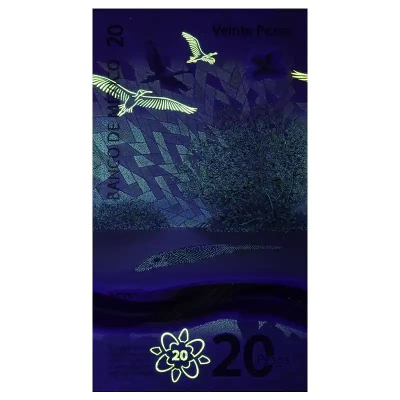 اسکناس 20 پزو مکزیک — تصویر ۹