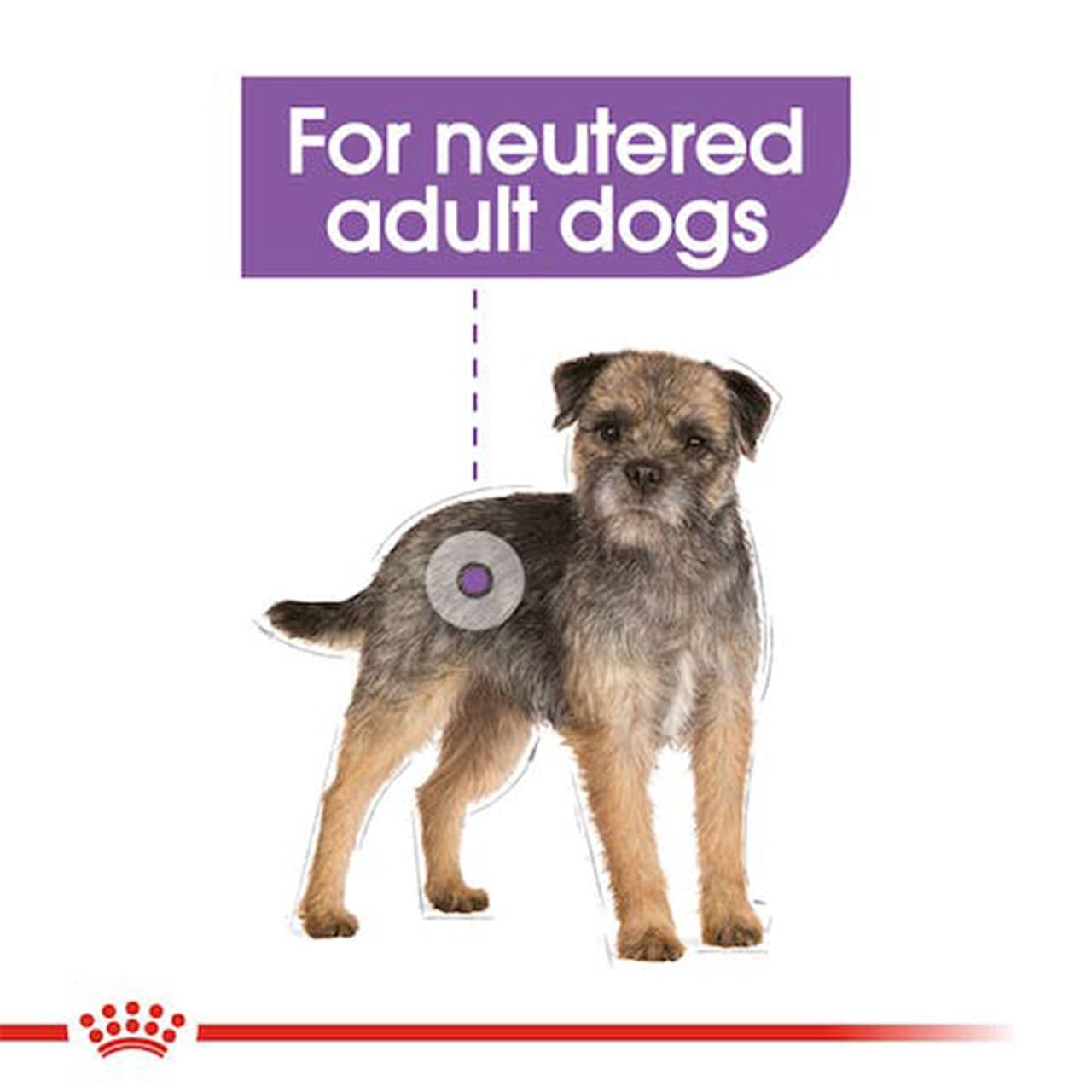 غذا خشک سگ رویال کنین Royal Canin Mini Sterilised وزن 3 کیلوگرم — تصویر ۱۲