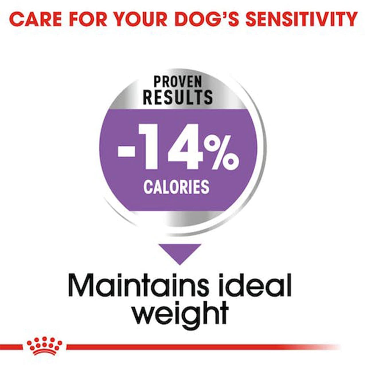 غذا خشک سگ رویال کنین Royal Canin Mini Sterilised وزن 3 کیلوگرم — تصویر ۵