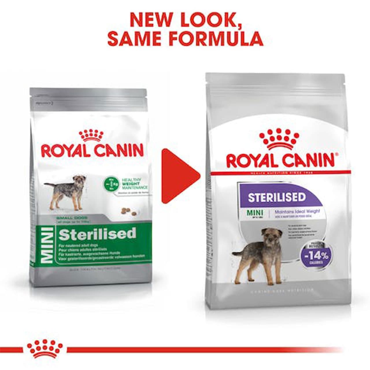 غذا خشک سگ رویال کنین Royal Canin Mini Sterilised وزن 3 کیلوگرم — تصویر ۷