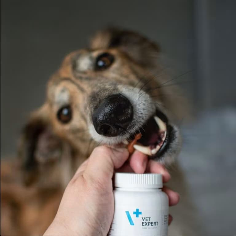 کپسول تقویت سیستم عصبی سگ و گربه Neuro Support وت اکسپرت Vet Expert — تصویر ۶