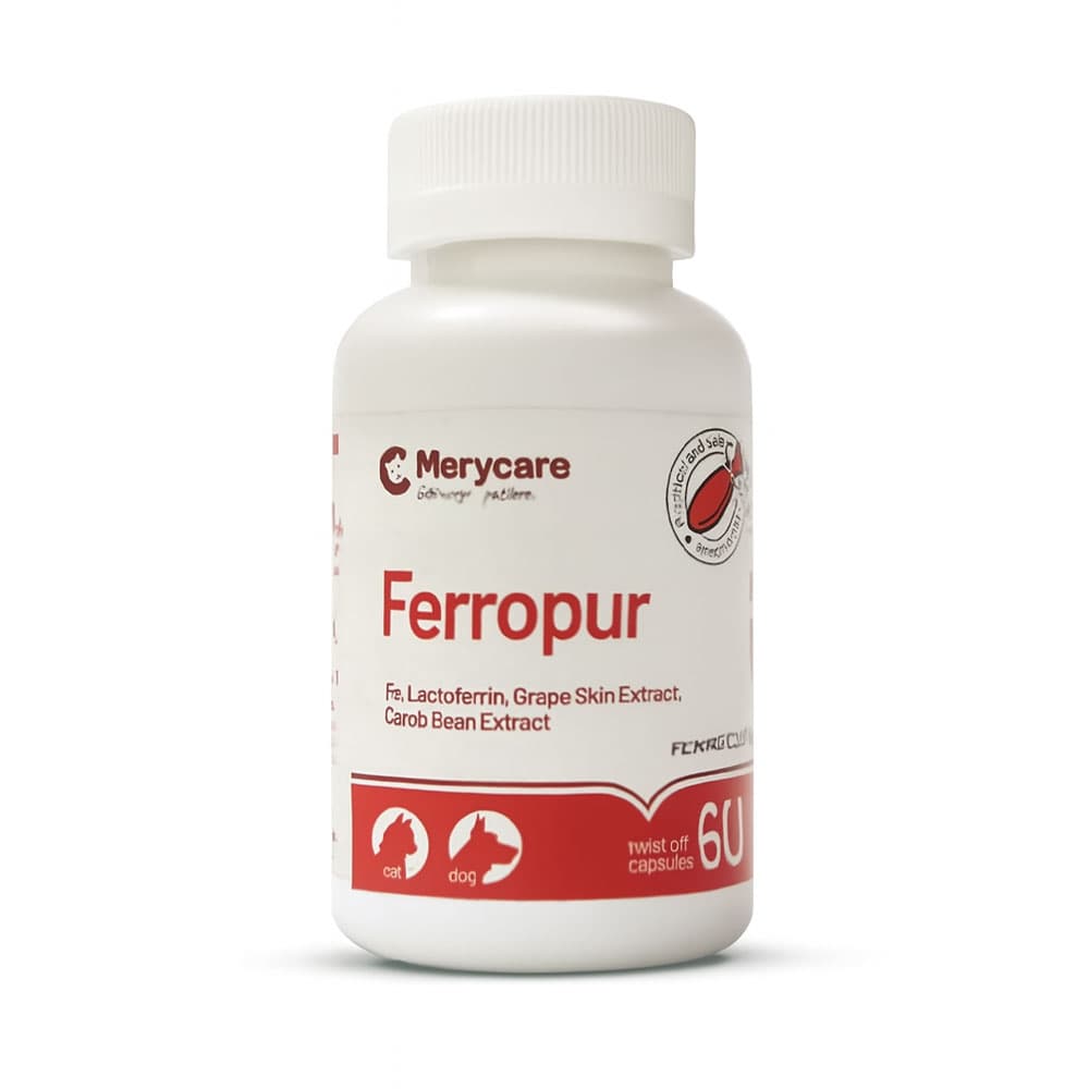 قرص مکمل خون‌ساز سگ و گربه Ferropur برند MeryCare | مری کر — تصویر ۳