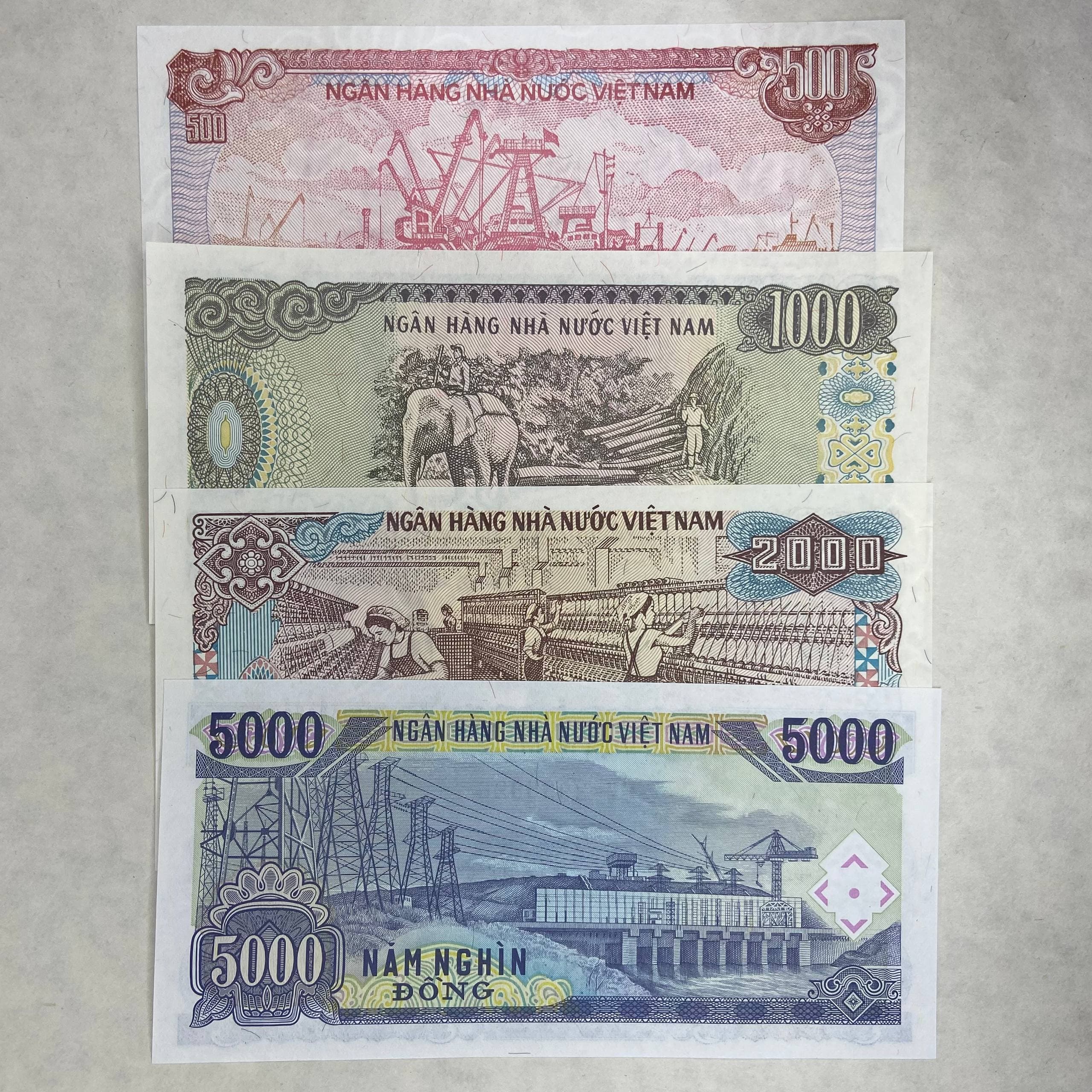 ست اسکناس دونگ ویتنام — تصویر ۴