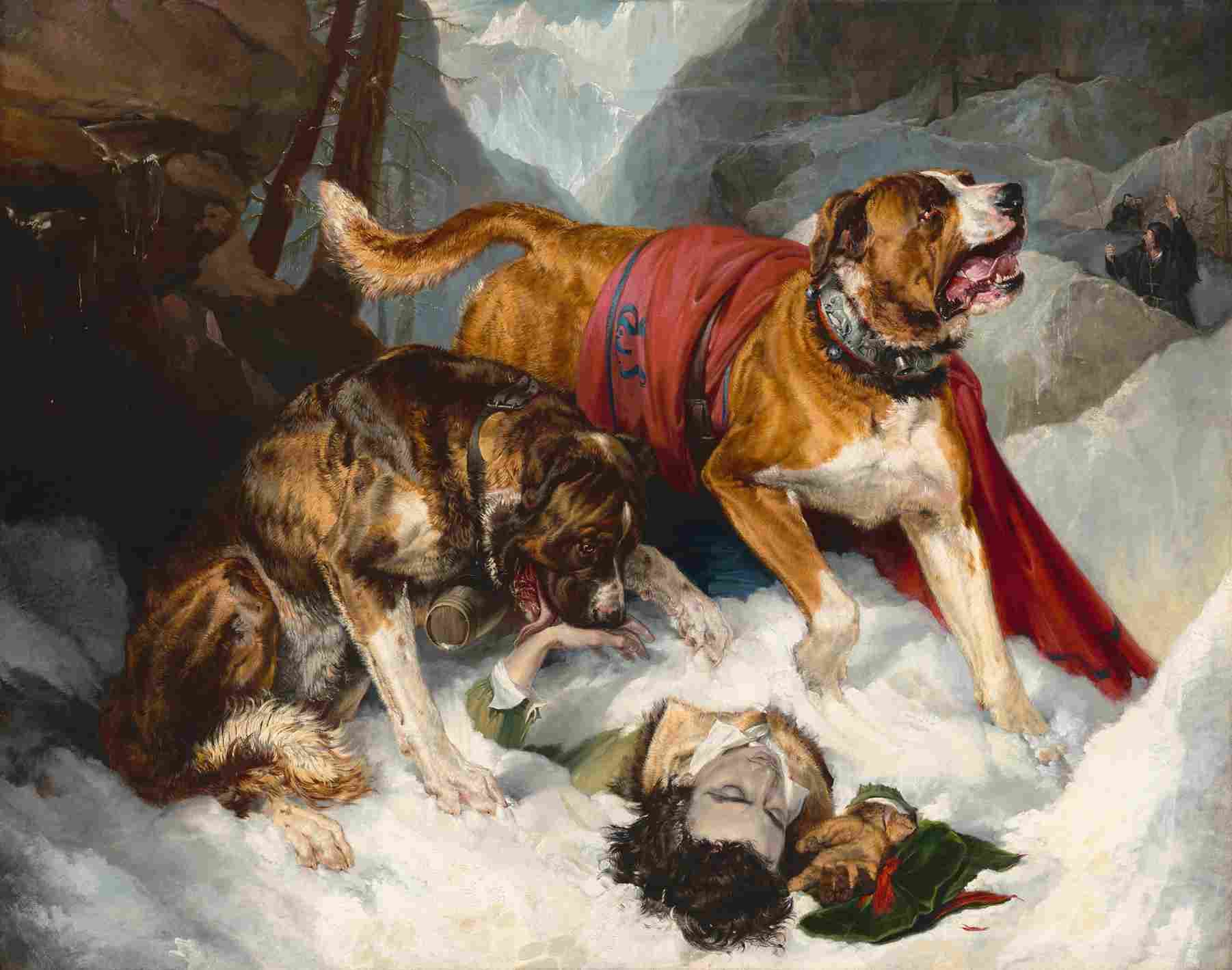 نقاشیSir Edwin Landseer Alpine Mastiffs Reanimating a Distressed Traveler — تصویر ۲